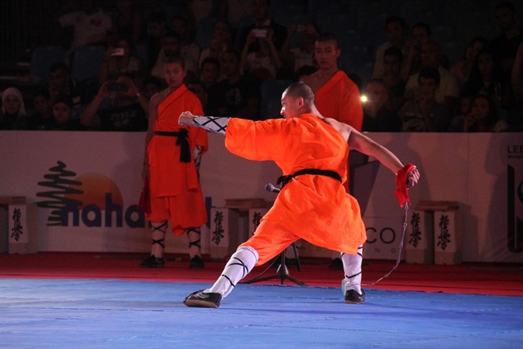 Martial Arts Festival